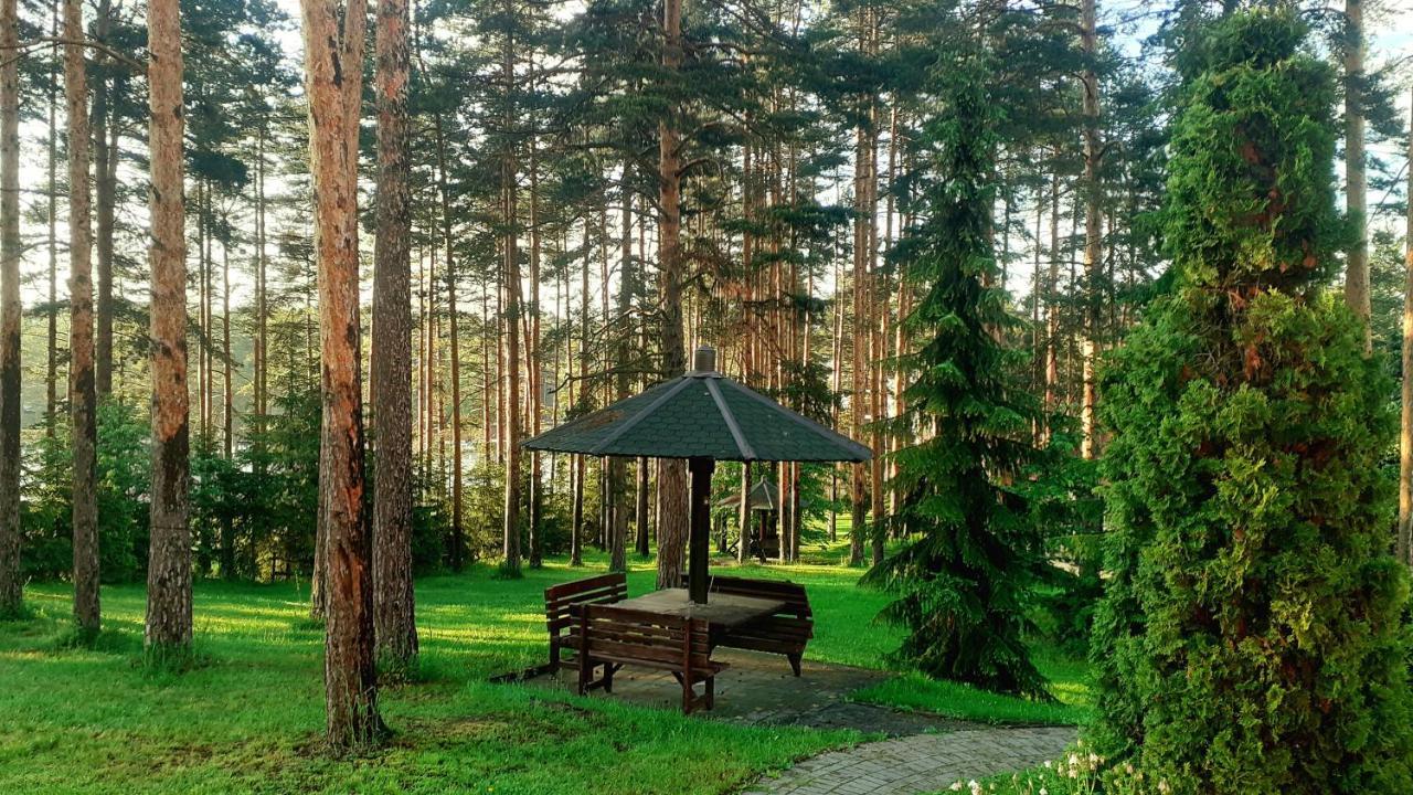 Kraljevi Konaci - Zelena Dolina - Apartment *