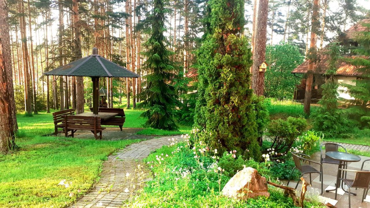 Kraljevi Konaci - Zelena Dolina - Apartment Zlatibor