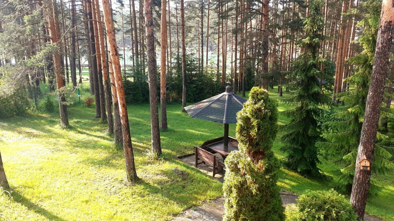 Kraljevi Konaci - Zelena Dolina - Apartment *